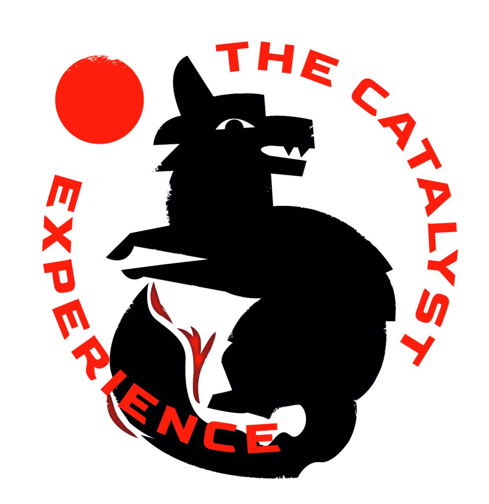 The Catalyst Experience